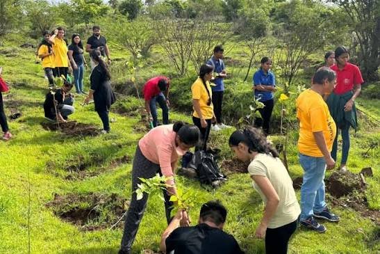 Environmental Conservation