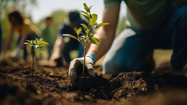 Hiverban Revival & Tree Plantation Drive